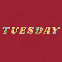 Tuesday floral pattern font typography