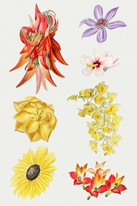 Colorful flower set hand drawn clipart