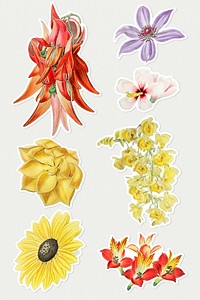 Vintage flowers illustrated psd sticker collection