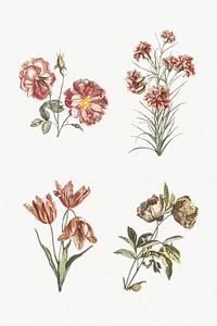 Vintage flower psd hand drawn illustration set