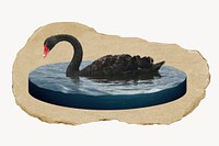 Black swan, ripped paper collage element