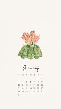 Calendar 2021 January printable with cute hand drawn cactus background