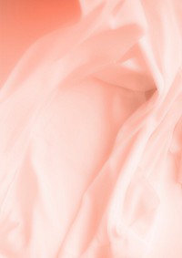 Peach rose petals on soft pastel background