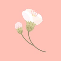 White cherry blossom vector design element