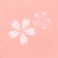 White cherry blossom flower illustration