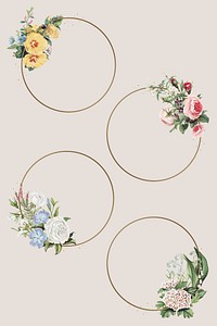 Colorful flowers golden frames vector classic botanical illustration set