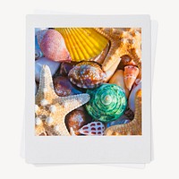 Aesthetic seashells instant photo, Summer vacation image 