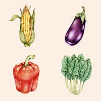 Organic vegetables illustration psd raw food sticker collection