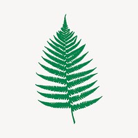 Fern leaf clipart, illustration psd. Free public domain CC0 image.