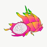 Dragonfruit, pitaya clipart, illustration vector. Free public domain CC0 image.