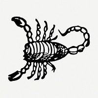 Scorpion drawing, illustration psd. Free public domain CC0 image.