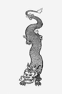 Chinese dragon drawing, illustration. Free public domain CC0 image.