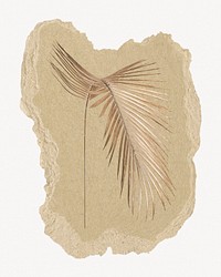 Gold palm leaf branch, ripped paper collage element