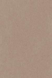 Brown paper texture background with copy space