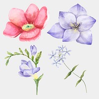 Watercolor blooming flowers vector clipart set