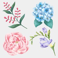 Watercolor flowers psd drawing clipart collection