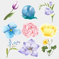 Watercolor blooming flowers vector clipart collection