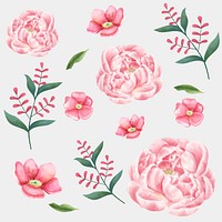 Watercolor pink flowers psd drawing clipart collection