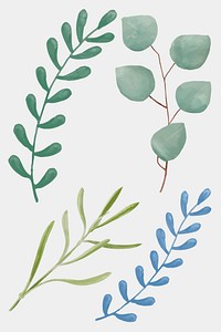 Green leaves vector hand drawn cut out collection