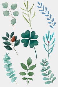 Watercolor leaves vector drawing clipart collection