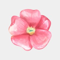 Painting blooming pink flower watercolor illustration