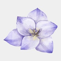 Blooming lilac flower psd watercolor clipart