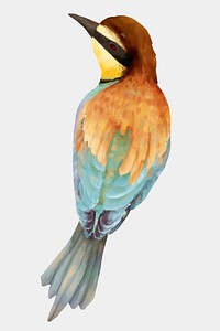 Colorful blue bird vector watercolor clipart