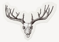 Animal skull, deer antler sticker collage element clipart