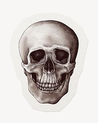 Skull illustration sticker collage element clipart