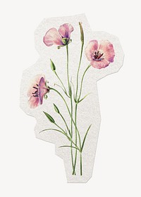 Lilac flower sticker, watercolor illustration