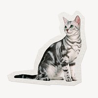 Cute cat sticker, pet animal illustration