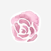 Classic pink rose psd hand drawn watercolor flower
