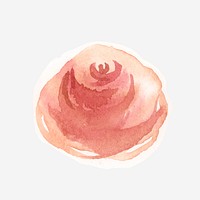 Watercolor rose flower red psd hand drawn sticker element