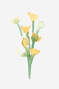 Yellow flower plant watercolor illustration