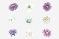 Blooming watercolor flower illustrations set