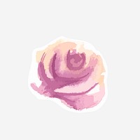 Classic purple rose vector hand drawn watercolor flower