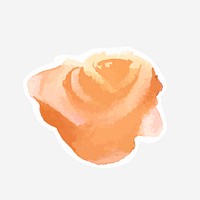 Watercolor orange rose psd hand drawn sticker element