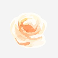 Rose psd flower drawing element graphic