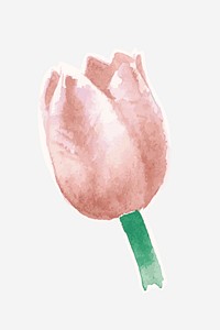 Watercolor pink tulip psd hand drawn sticker element