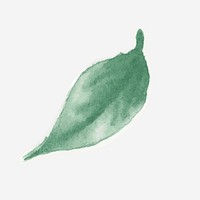 Green leaf vector botanical drawing element graphic