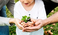 Family planting a tree together