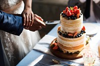 Couple Hands Cutting Wedding Cake