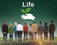 Life Ecosystem Conserve Environment Concept