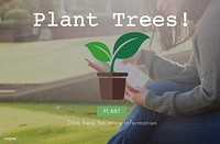 Plant Trees Ecology Environmental Conservation Growing Concept