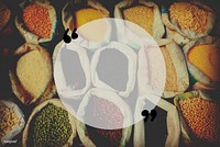 Diverse Multi Colored Legume Bean Sack Market