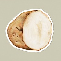 Potato sticker psd organic botanical illustration