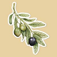 Olives fruit psd illustration organic food