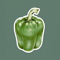 Vintage green bell pepper psd illustrated sticker