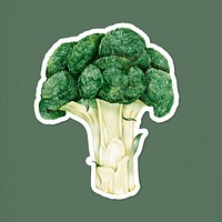 Organic food psd broccoli drawing illustration