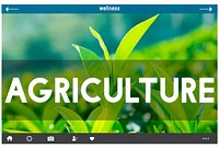 Ecology Farming Agriculture Blog Environment Concept